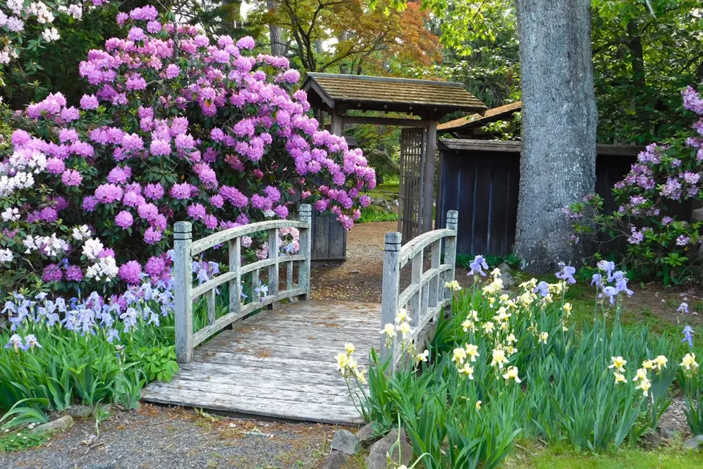 Georgian Court University’s Sister Mary Grace Burns Arboretum: Japanese garden