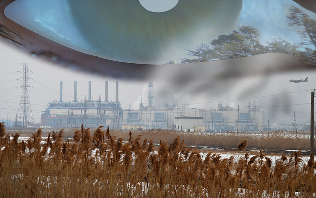 environmental eye