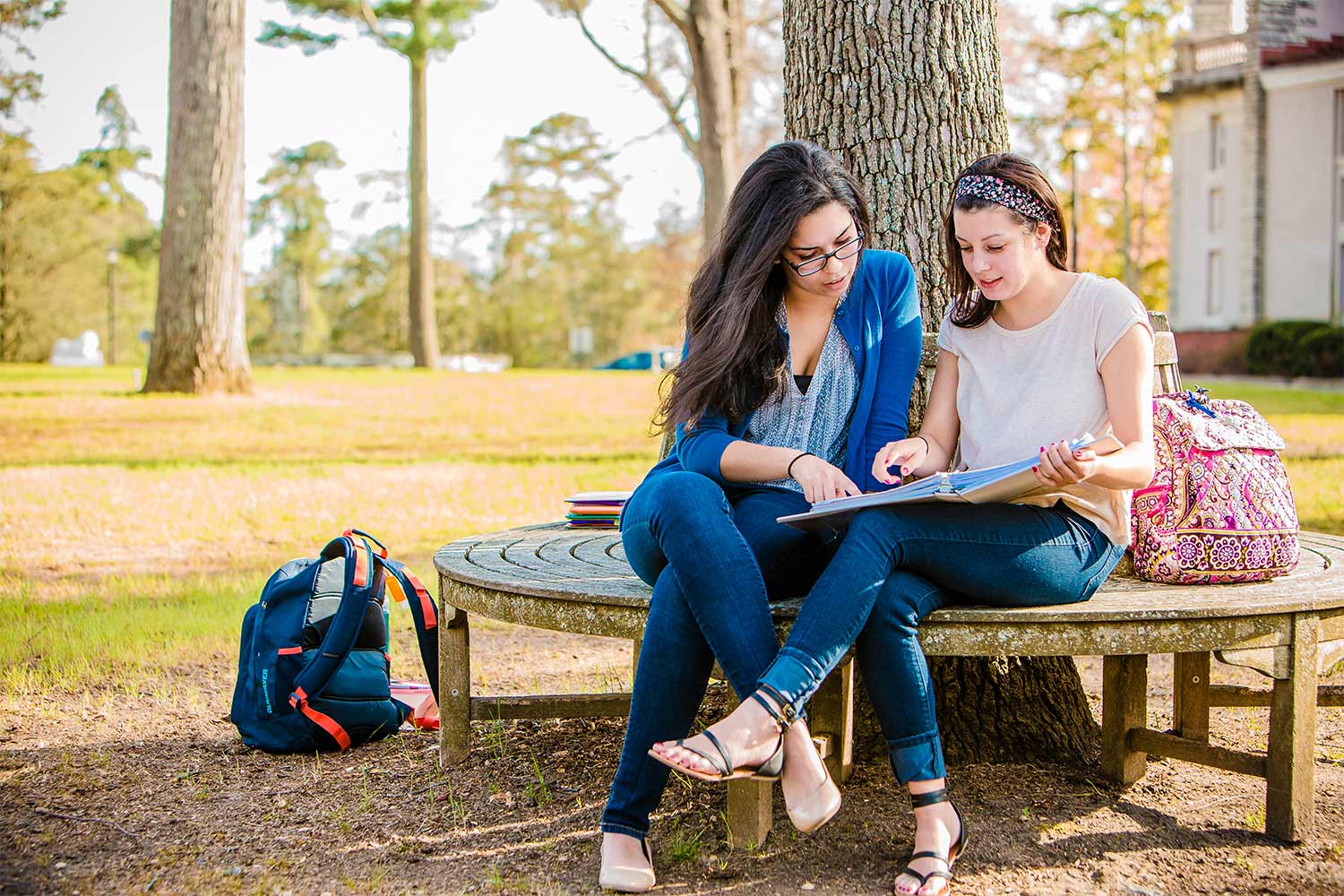 Two female students sitting on wrap-around bench of a tree and doing schoolwork.