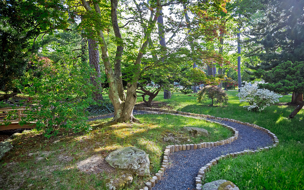 The path to the Japanese garden