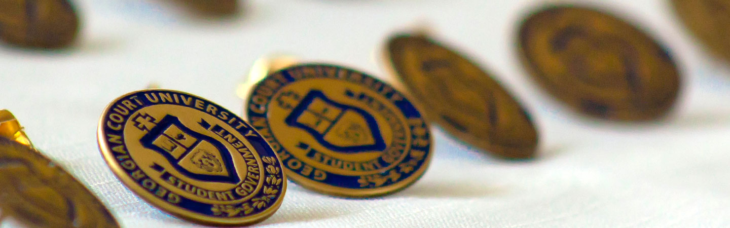 Student Government Association - pins