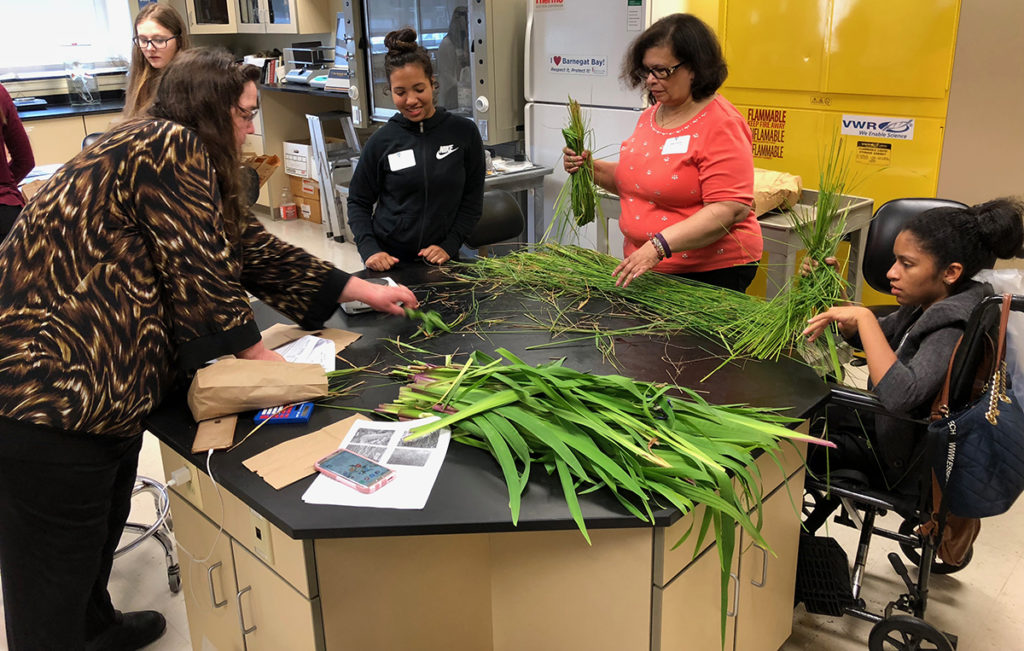 STEM Teen Tech Wootton