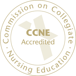 Commission on collegiate nursing education accelerated nursing program