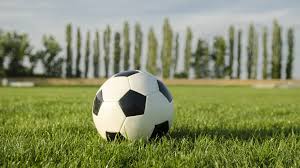 black and white soccer ball on green grass