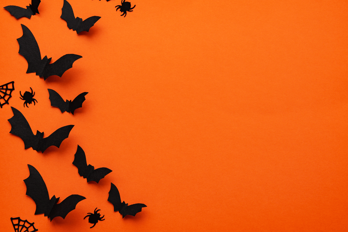 cartoon bats with an orange background