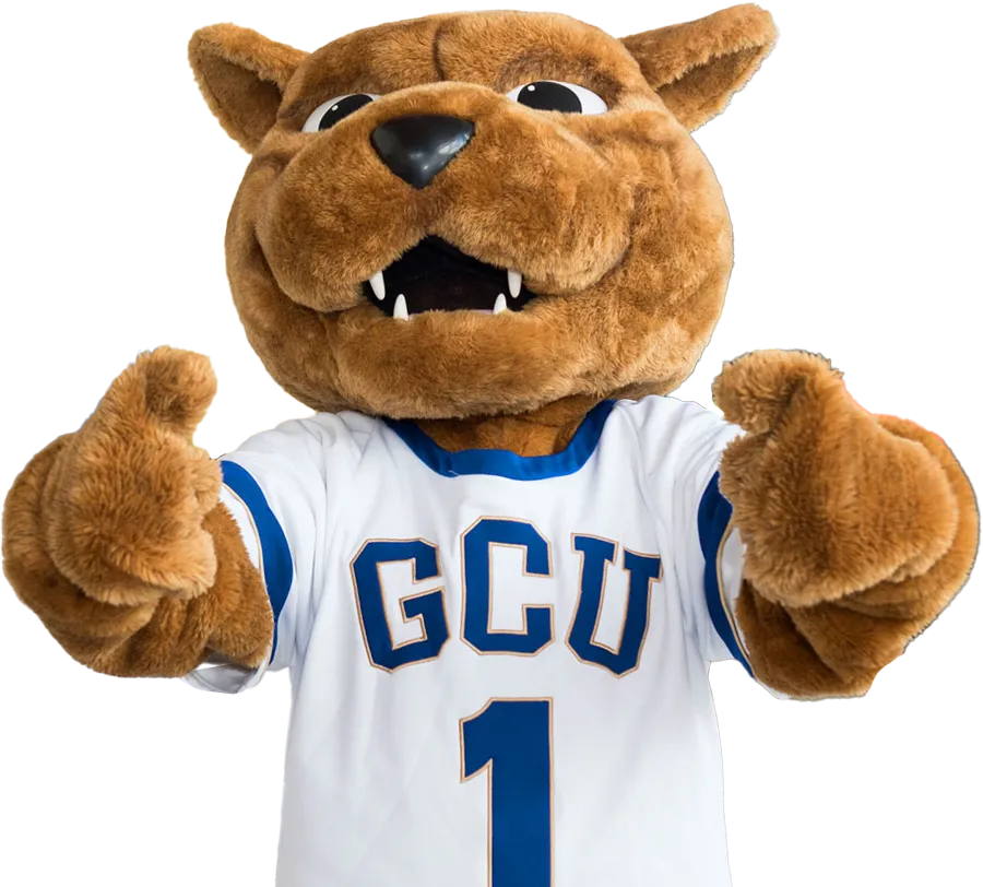 A portrait of Roary the lion looking at the camera